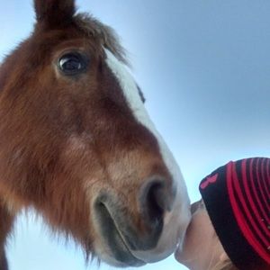 Meet your Posher, Jenn